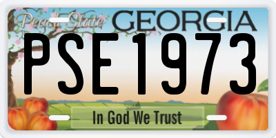 GA license plate PSE1973