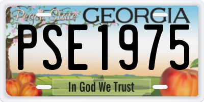 GA license plate PSE1975
