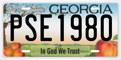 GA license plate PSE1980