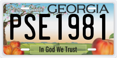 GA license plate PSE1981