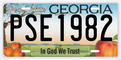 GA license plate PSE1982