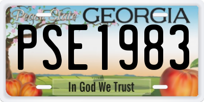 GA license plate PSE1983