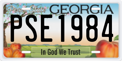 GA license plate PSE1984