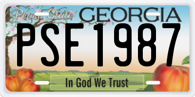 GA license plate PSE1987