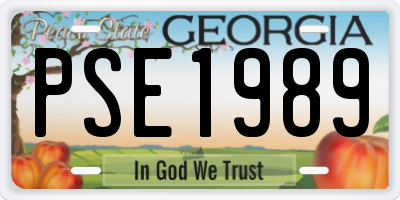 GA license plate PSE1989