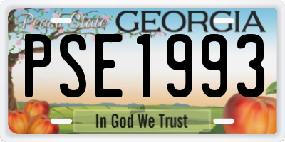 GA license plate PSE1993