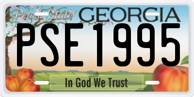 GA license plate PSE1995