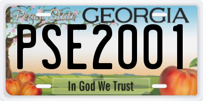 GA license plate PSE2001