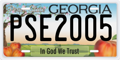GA license plate PSE2005