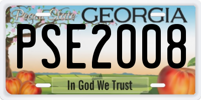 GA license plate PSE2008