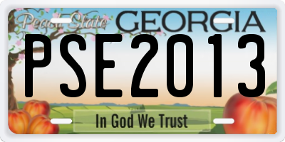 GA license plate PSE2013