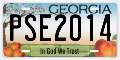 GA license plate PSE2014