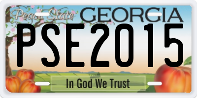 GA license plate PSE2015