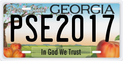 GA license plate PSE2017