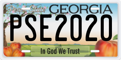 GA license plate PSE2020