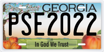 GA license plate PSE2022