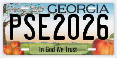 GA license plate PSE2026