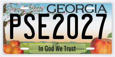 GA license plate PSE2027