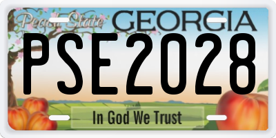 GA license plate PSE2028