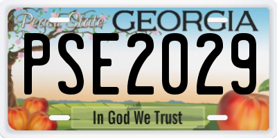 GA license plate PSE2029