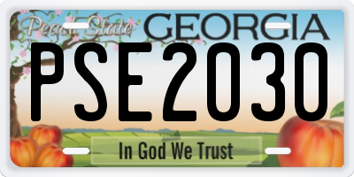 GA license plate PSE2030