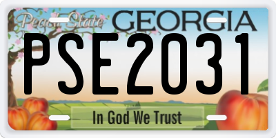 GA license plate PSE2031