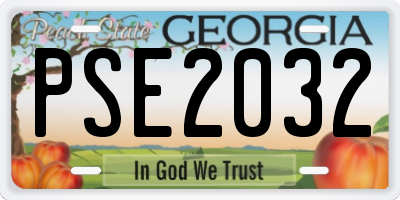 GA license plate PSE2032