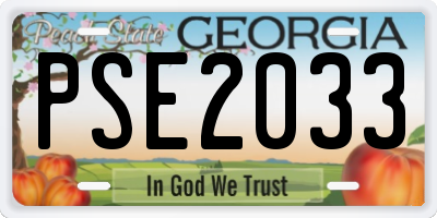 GA license plate PSE2033
