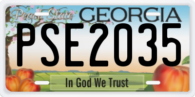 GA license plate PSE2035