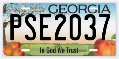 GA license plate PSE2037