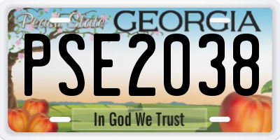 GA license plate PSE2038