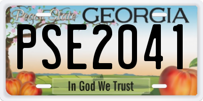 GA license plate PSE2041