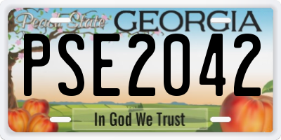 GA license plate PSE2042