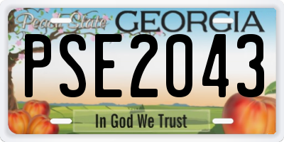 GA license plate PSE2043
