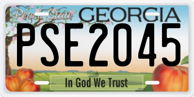 GA license plate PSE2045