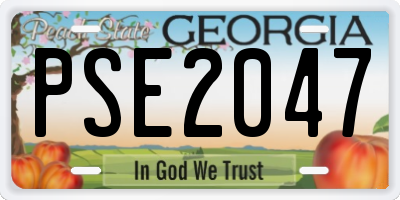 GA license plate PSE2047