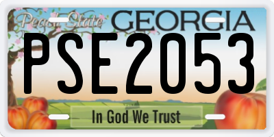 GA license plate PSE2053