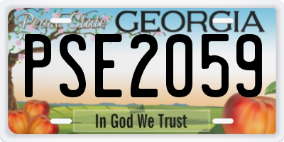 GA license plate PSE2059