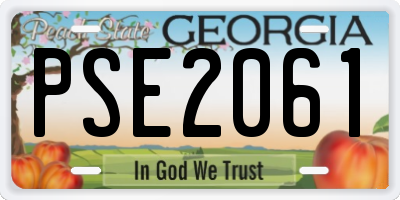 GA license plate PSE2061