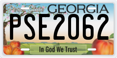 GA license plate PSE2062