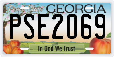 GA license plate PSE2069