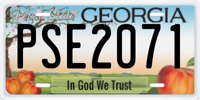 GA license plate PSE2071