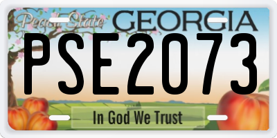 GA license plate PSE2073