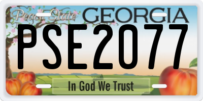 GA license plate PSE2077
