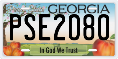 GA license plate PSE2080