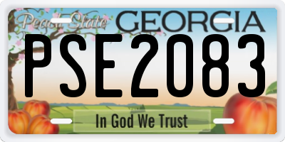 GA license plate PSE2083