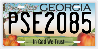 GA license plate PSE2085