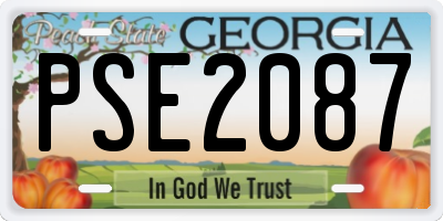 GA license plate PSE2087