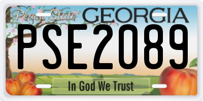 GA license plate PSE2089