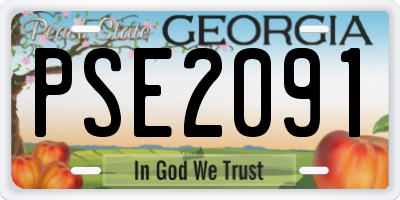 GA license plate PSE2091